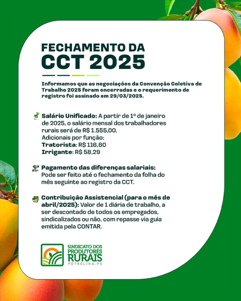 CCT Petrolina - 2025