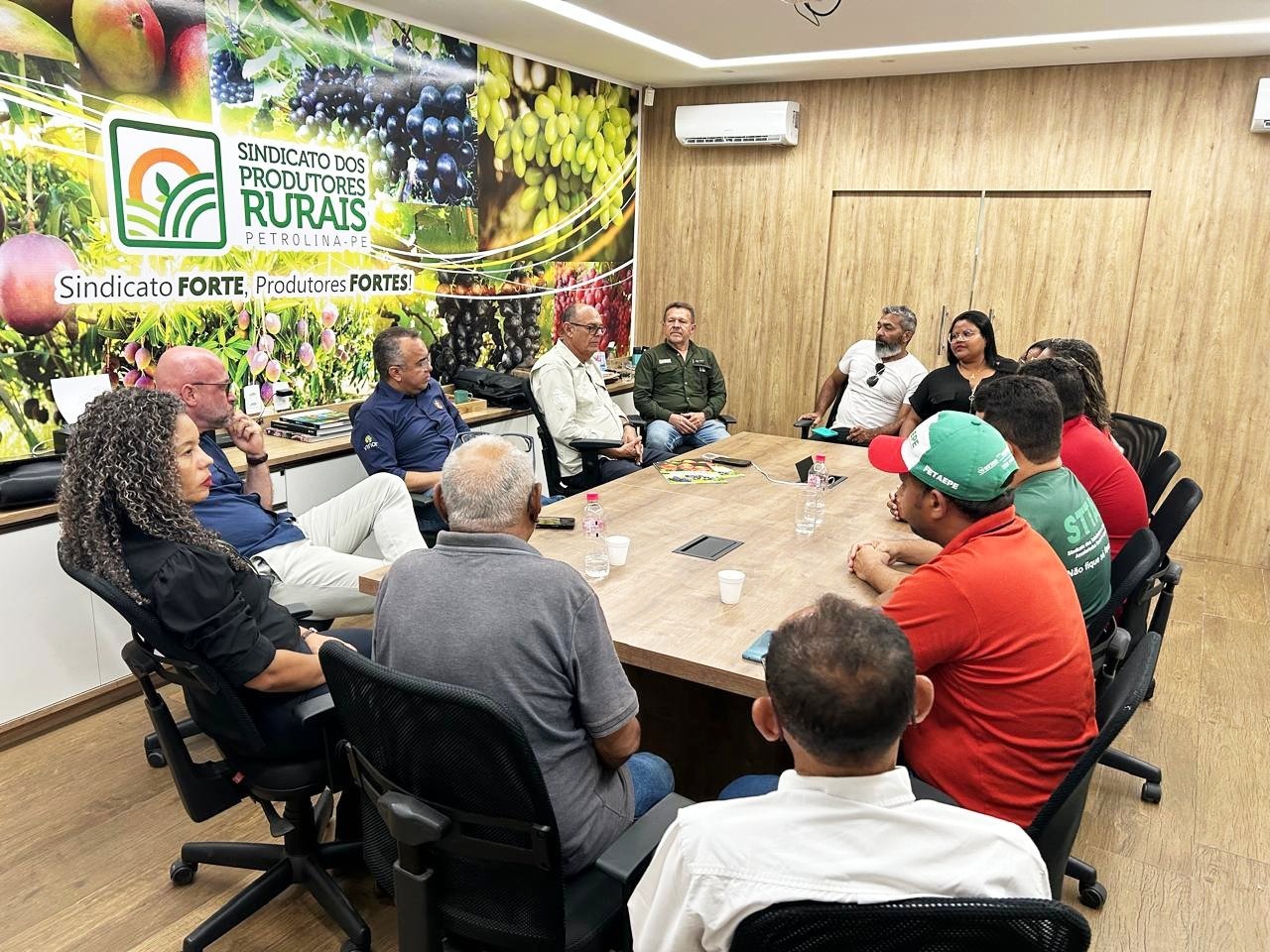 whatsapp image 2025 12 23 at 07.46.19