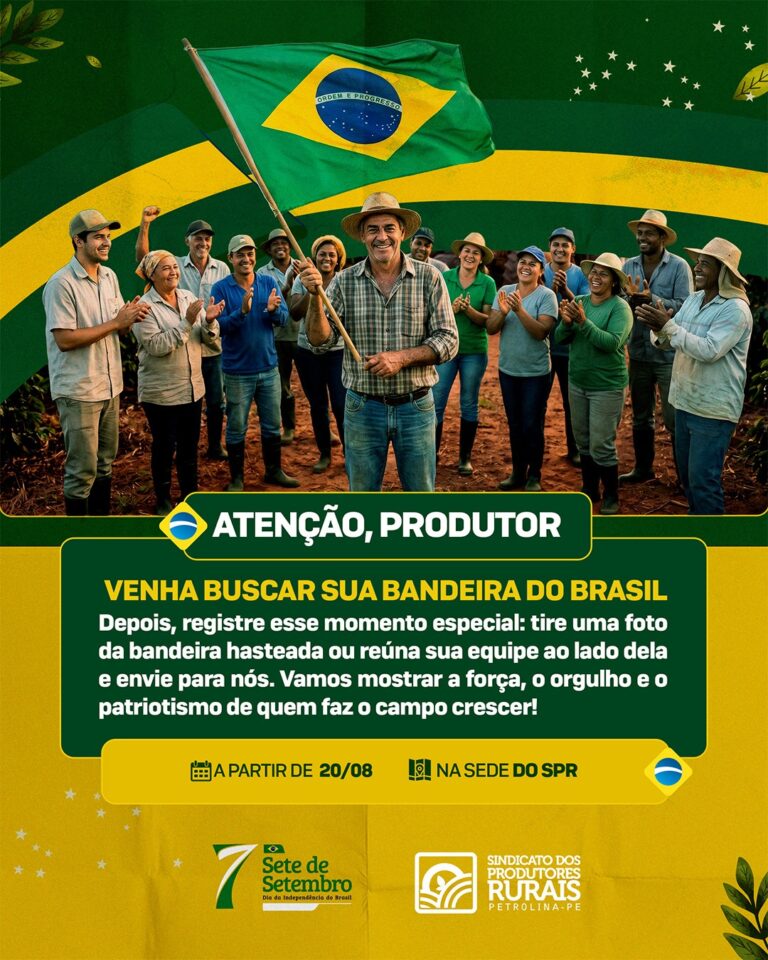 Notícias campanha da bandeira